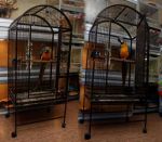 Κλουβιά και αναθρεπτήρια εσωτερικών χώρων - παπαγάλοι